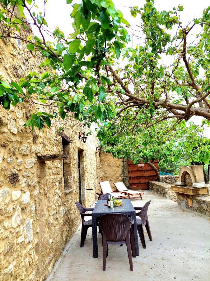 Petrakis Cretan Homes Kíszamosz Kültér fotó