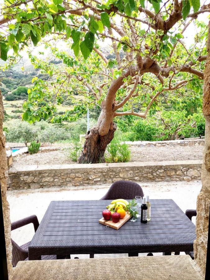 Petrakis Cretan Homes Kíszamosz Kültér fotó