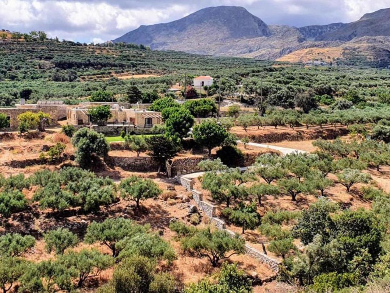 Petrakis Cretan Homes Kíszamosz Kültér fotó