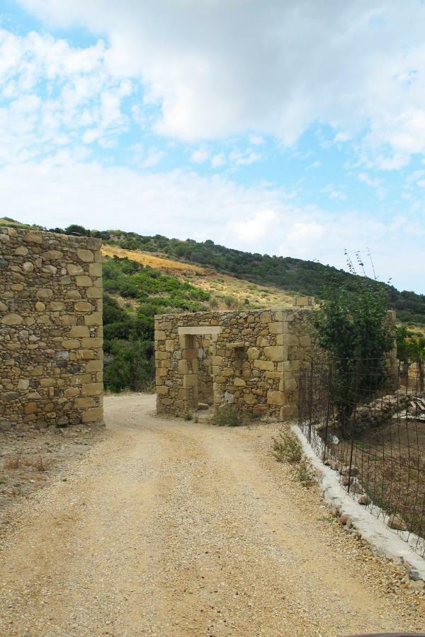 Petrakis Cretan Homes Kíszamosz Kültér fotó