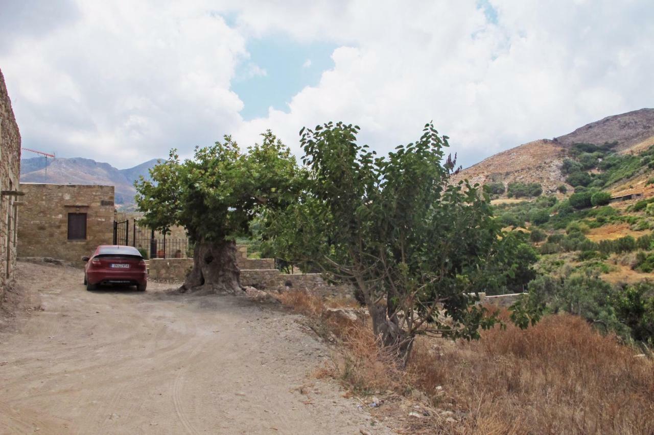 Petrakis Cretan Homes Kíszamosz Kültér fotó
