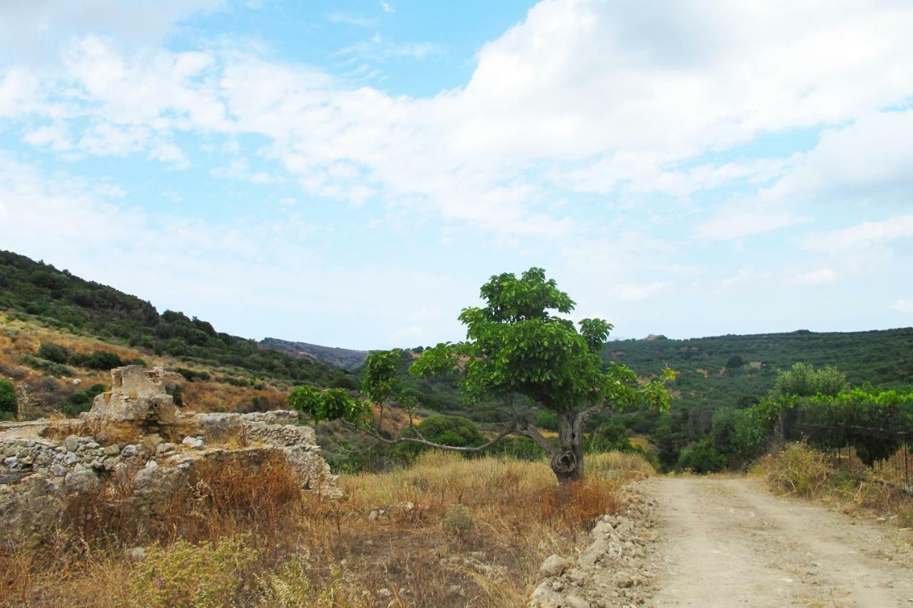 Petrakis Cretan Homes Kíszamosz Kültér fotó