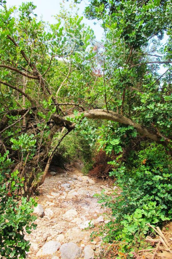 Petrakis Cretan Homes Kíszamosz Kültér fotó