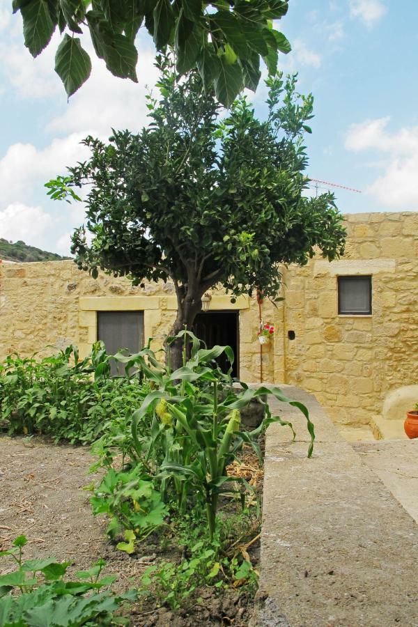 Petrakis Cretan Homes Kíszamosz Kültér fotó