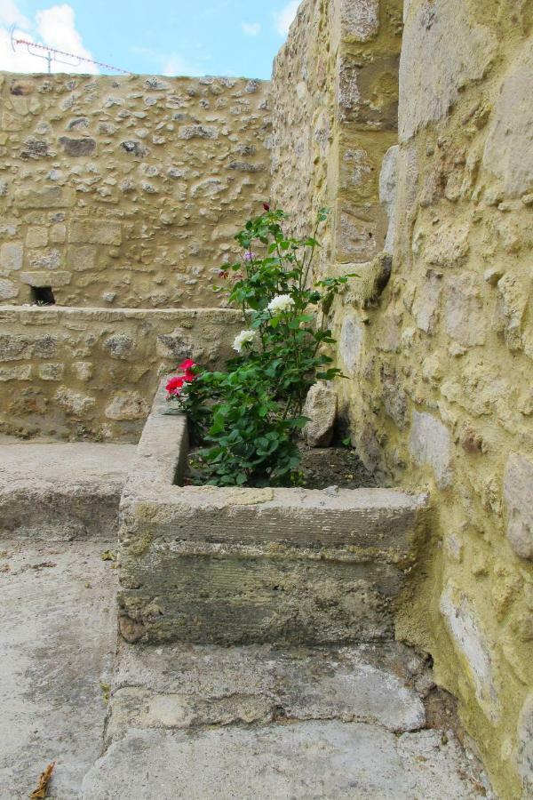 Petrakis Cretan Homes Kíszamosz Kültér fotó