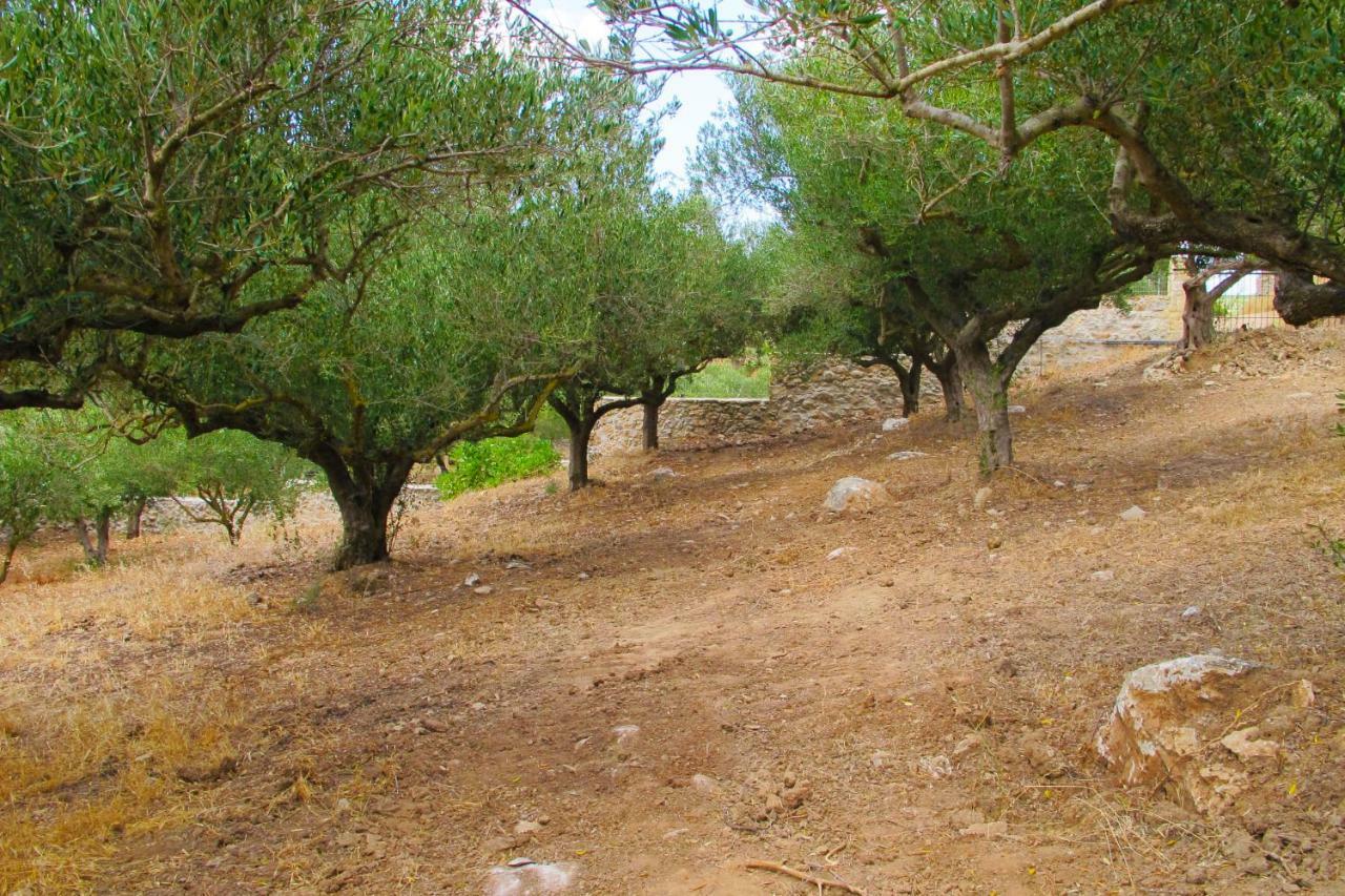 Petrakis Cretan Homes Kíszamosz Kültér fotó