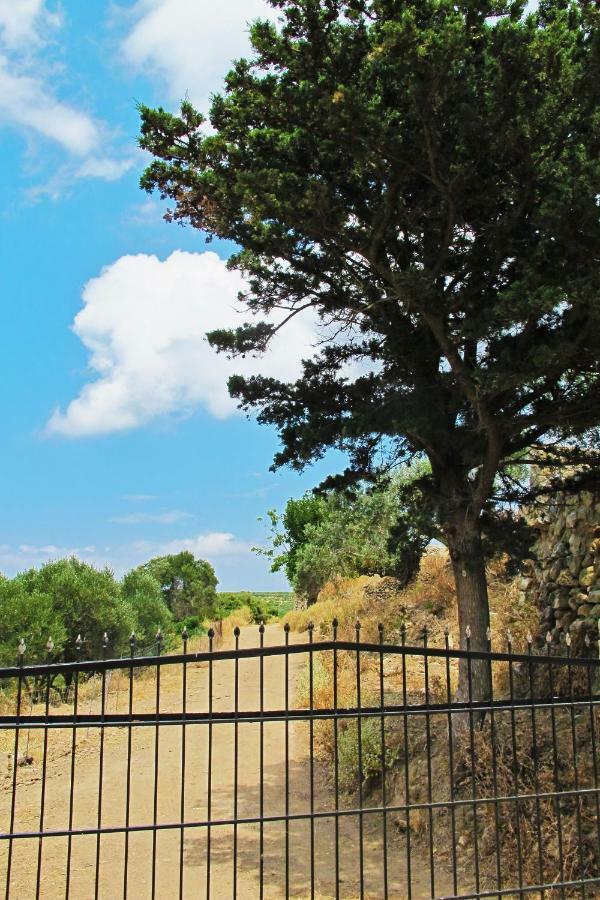 Petrakis Cretan Homes Kíszamosz Kültér fotó