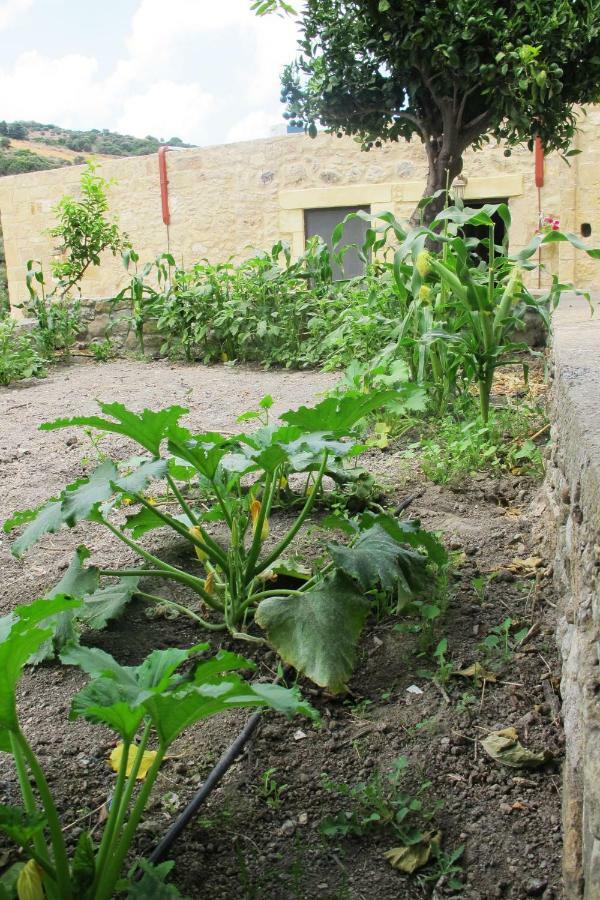 Petrakis Cretan Homes Kíszamosz Kültér fotó