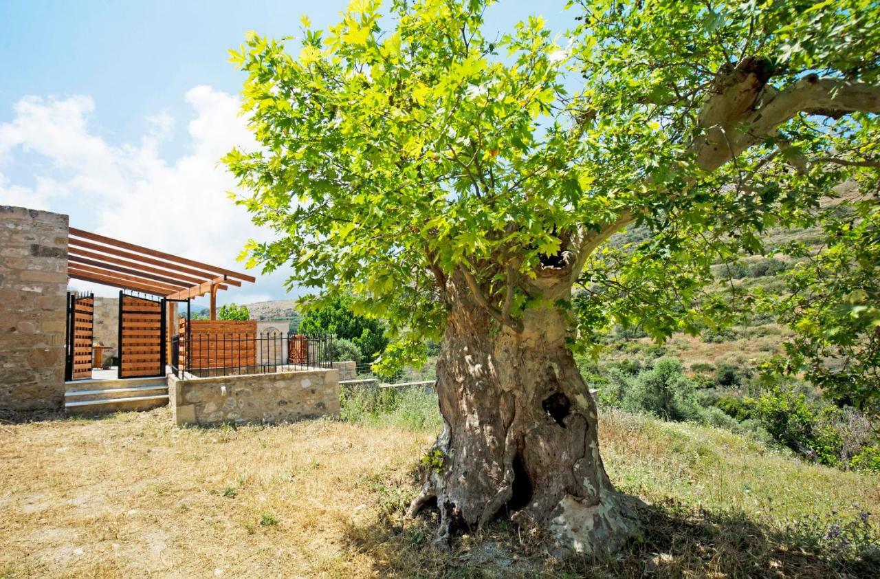 Petrakis Cretan Homes Kíszamosz Kültér fotó